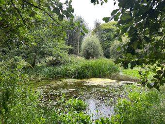Maple Lodge, Kilcullen, Inistioge, Co. Kilkenny - Image 4