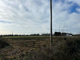 Treascan, Portarlington, Portarlington, Co. Offaly - Image 5