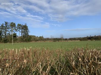 Ballinlass, Mountbellew, Co. Galway - Image 3