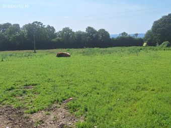 .75 Acre Site, Kilcarrig, Bagenalstown, Co. Carlow, Bagenalstown, Co. Carlow - Image 4