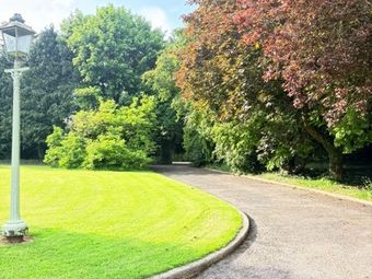 Ballysaxplain, The Curragh, Co. Kildare - Image 2