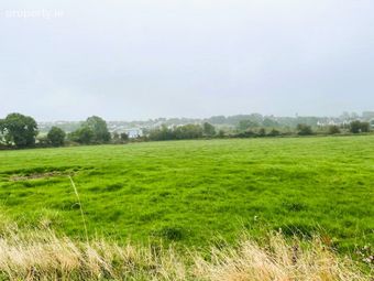 Lands Chapel Road, Stradbally, Co. Waterford - Image 5
