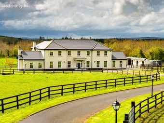 Gort Na Pise, Peafield, Pike Of Rushall, Co. Laois, Pike of Rush Hall, Co. Laois