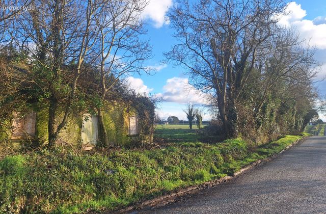 Dromin Cross, Dunleer, Dromin, Co. Louth - Click to view photos