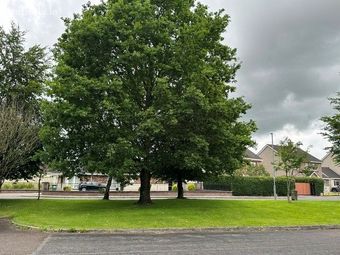 No. 3 Hazelwood Grove, Thurles, Co. Tipperary - Image 2