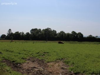 .75 Acre Site, Kilcarrig, Bagenalstown, Co. Carlow, Bagenalstown, Co. Carlow - Image 2