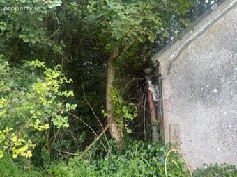 Shragh, Kilrush, Kilrush, Co. Clare - Image 4