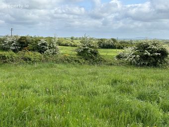 Springtown ,granard , Co Longford, Granard, Co. Longford - Image 2