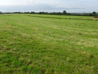 Ballynahattina, Mountbellew, Co. Galway - Image 5