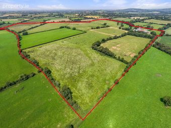 Phillipstown, Rathvilly, Co. Carlow, Rathvilly, Co. Carlow - Image 5