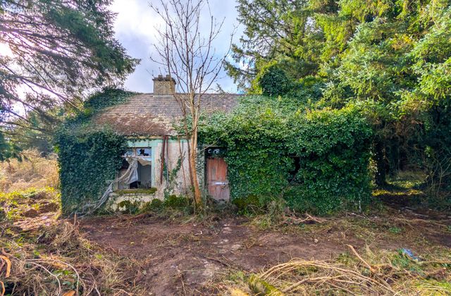 Srah Lower, Carracastle, Ballaghaderreen, Co Mayo, Carracastle, Co. Mayo - Click to view photos