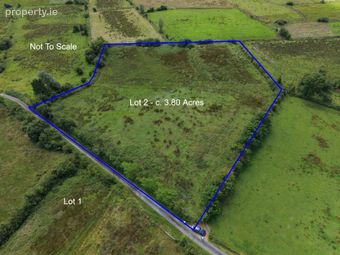Residence On C. 8.10 Acres (in Lots), Ballynacorra, Newbridge, Co. Galway, Newbridge, Co. Galway - Image 3