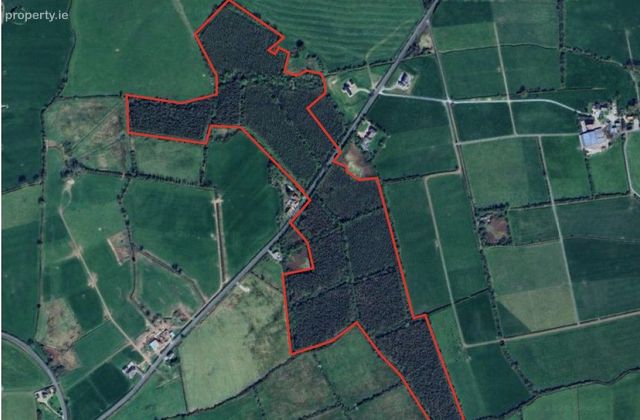 Ballynashig, Ballingarry , Co. Limerick, Ballingarry, Co. Limerick - Click to view photos