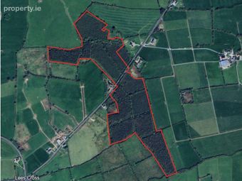 Ballynashig, Ballingarry , Co. Limerick, Ballingarry, Co. Limerick