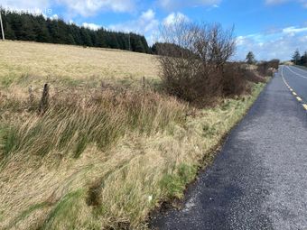 185 Acres Of Afforested Land, Cashelnavean, Ballybofey, Co. Donegal, Ballybofey, Co. Donegal - Image 3