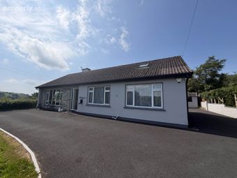 Swan Lake, Lough Gur, Bruff, Co. Limerick, Bruff, Co. Limerick - Image 5