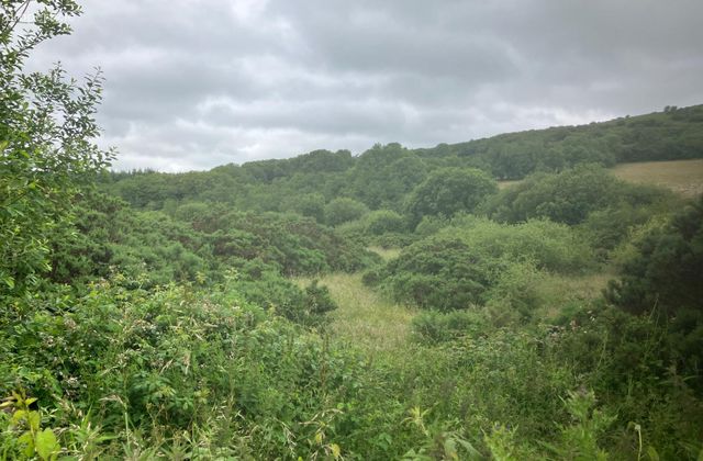 6.94 Acres At Ballysallagh, Hacketstown, Co. Carlow, Hacketstown, Co. Carlow - Click to view photos