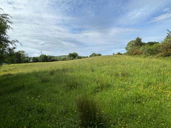 Site At Ballycorrigan, Ballina, Co. Tipperary - Image 5