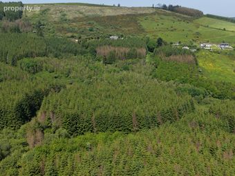 Ballyine, Carrigkerry, Athea, Co. Limerick, Athea, Co. Limerick - Image 2