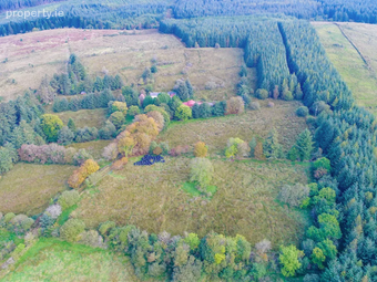 Tullinwillin, Killarga, Co. Leitrim - Image 2