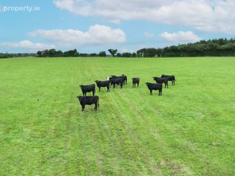 Knockdrin, Rhode, Co. Offaly - Image 4