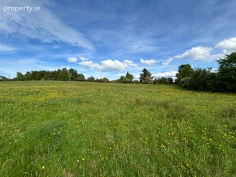 Site At Ballycorrigan, Ballina, Co. Tipperary - Image 3