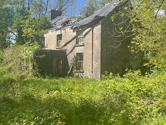 Rushpark, Farragher, Ballymacurley, Co. Roscommon - Image 5