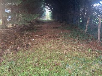 Clounts Cross, Rathmore, Co. Kerry - Image 5
