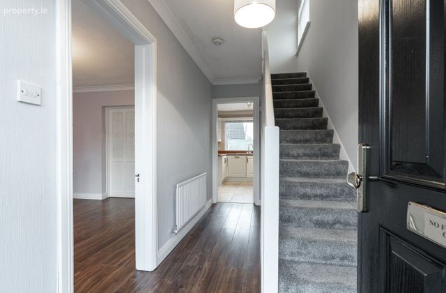 Elgin Wood, Bray, Co. Wicklow - Click to view photos