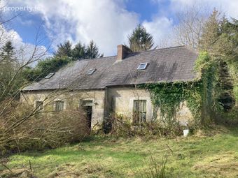 Knockalough Commons, Upperchurch, Thurles, Co. Tipperary - Image 2