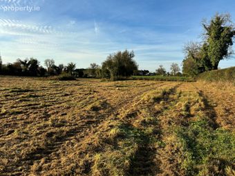 4.5 Acre Site, Maynooth Road, Rathcoffey, Co. Kildare, Rathcoffey, Co. Kildare - Image 4