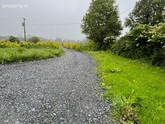 Caherguillamore, Grange, Grange, Co. Limerick - Image 3