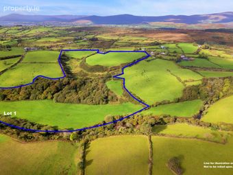 Lands At Droumsullivan, Bantry, Co. Cork, Kealkill, Co. Cork - Image 2