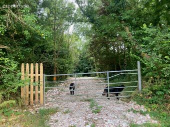 C. 8.78 Hectares (21.70 Acres) At Nicharee, Duncormick, Co. Wexford - Image 3