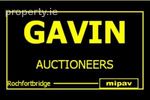Pat Gavin Auctioneer