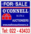 Branded Agent Logo