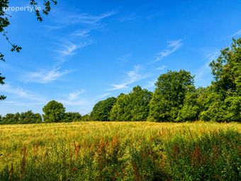 55 Acres, Thomastown, Kilcullen, Co. Kildare - Image 5