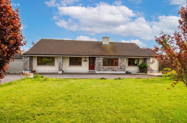 Eidhneach, Pill Road, Carrick-on-Suir, Co. Tipperary - Click to view photos