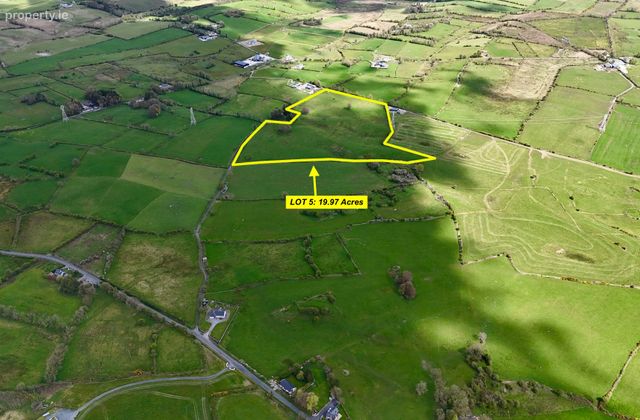 19.97 Acres (approx.) At Carton, Elphin, Co. Roscommon, Elphin, Co. Roscommon - Click to view photos
