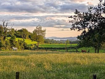Two Trees, Dromlickarue, Kealkill, Kealkill, Co. Cork - Image 3
