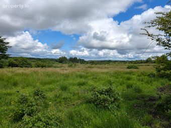 C. 9.91 Acres, Derrynabrock, Cloontia, Co. Mayo, Cloontia, Co. Mayo - Image 3