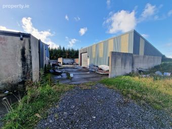 Newtown, Doonbeg, Clare, Doonbeg, Co. Clare - Image 4