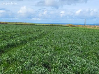 Drumnacurra, Causeway, Co. Kerry, Causeway, Co. Kerry - Image 3