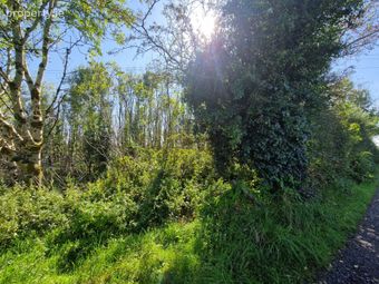 Logcurragh, Swinford, Co. Mayo, Swinford, Co. Mayo - Image 4