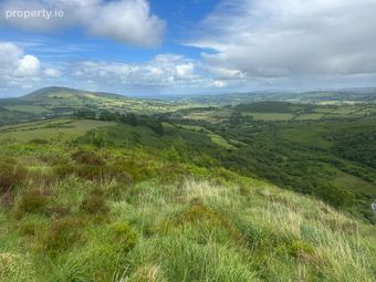 Gneeves, Millstreet, Millstreet, Co. Cork - Image 4
