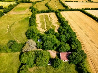 50.5 Acres, Thomastown, Kilcullen, Co. Kildare - Image 4