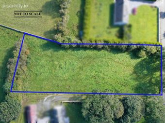 C.0.75 Acres, Carrownalassan, Four Mile House, Co. Roscommon, Four Mile House, Co. Roscommon - Image 2