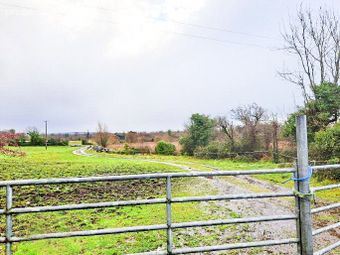 Land At Laghtyshaughnessy, Gort, Co. Galway, Shanaglish, Co. Galway - Image 4