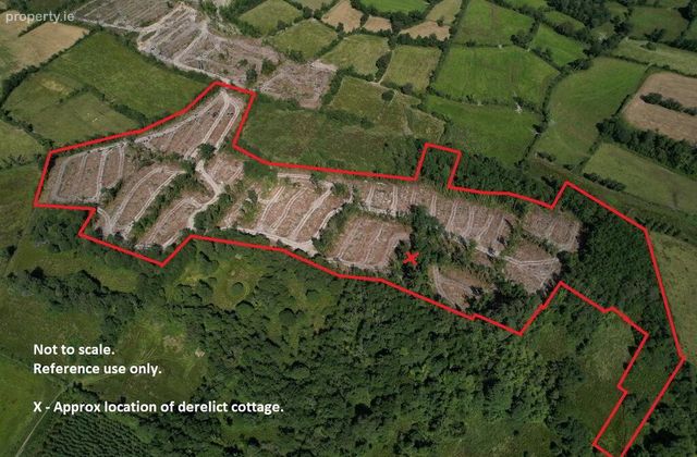 Srloaghan, Aghawillin, Ballinamore, Co. Leitrim, Ballinamore, Co. Leitrim - Click to view photos