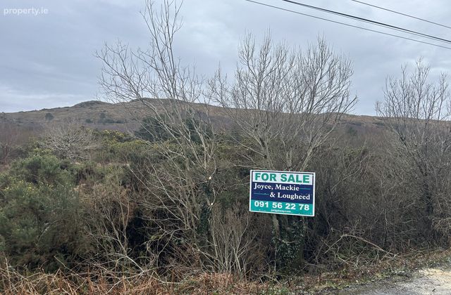 Rusheeny, Oughterard, Co. Galway - Click to view photos